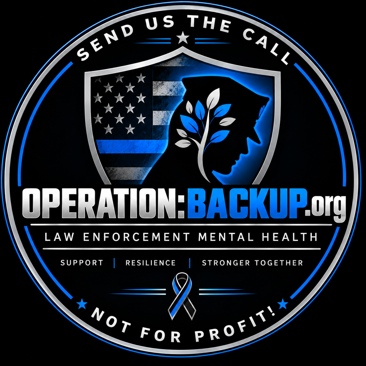 Operation:Backup logo